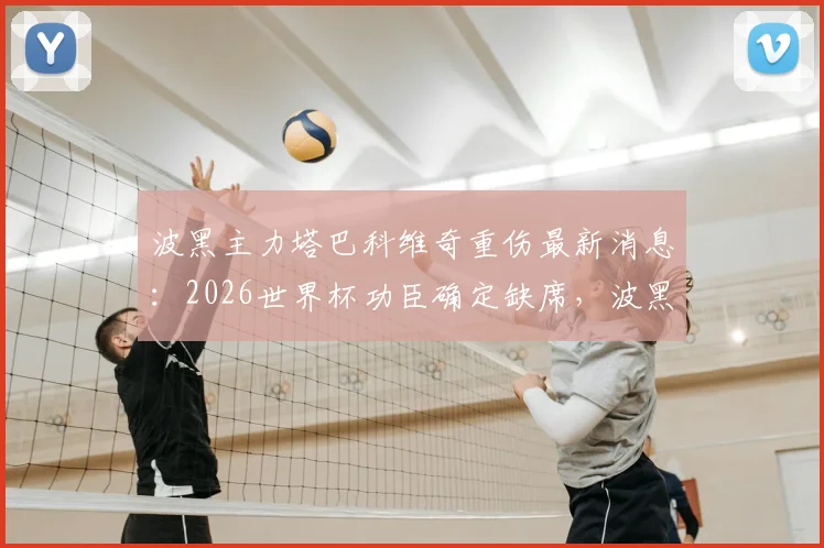 波黑主力塔巴科维奇重伤最新消息:2026世界杯功臣确定缺席,波黑后防如何调整?